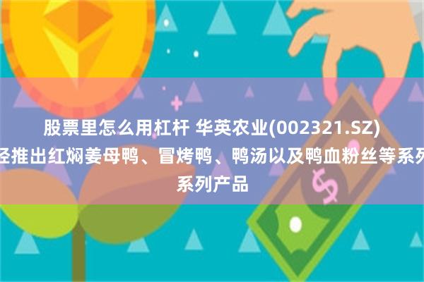 股票里怎么用杠杆 华英农业(002321.SZ)：已经推出红焖姜母鸭、冒烤鸭、鸭汤以及鸭血粉丝等系列产品