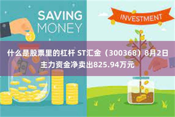 什么是股票里的杠杆 ST汇金（300368）8月2日主力资金净卖出825.94万元