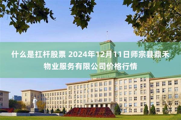 什么是扛杆股票 2024年12月11日师宗县鼎禾物业服务有限公司价格行情