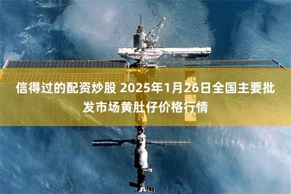 信得过的配资炒股 2025年1月26日全国主要批发市场黄肚仔价格行情