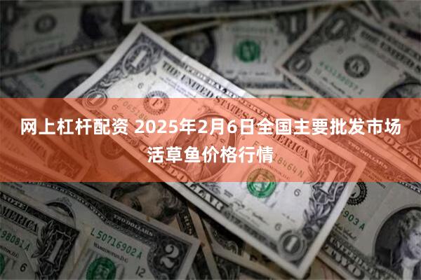 网上杠杆配资 2025年2月6日全国主要批发市场活草鱼价格行情